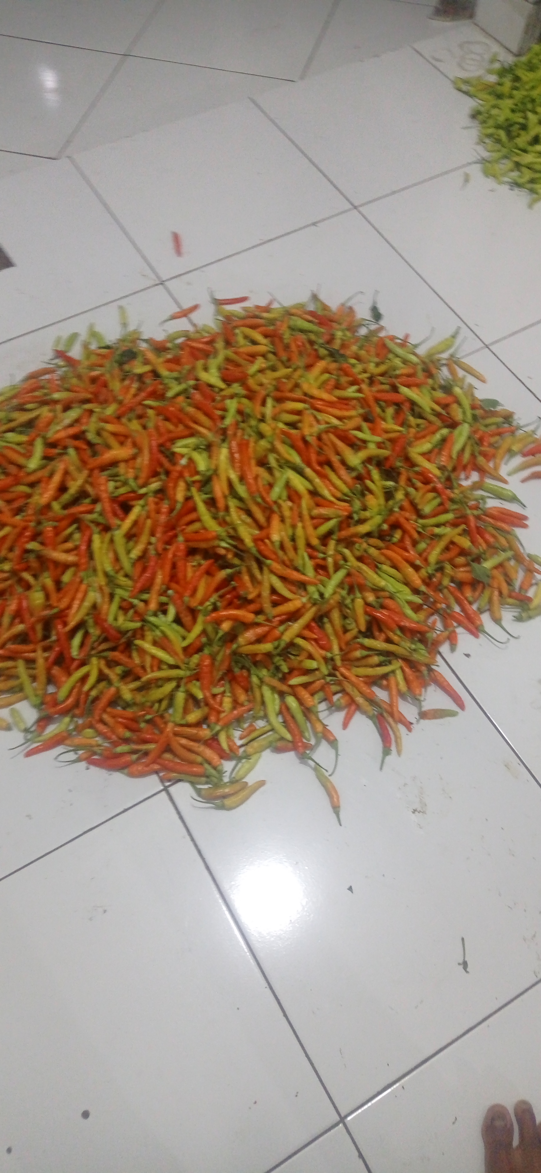 Logo Produk